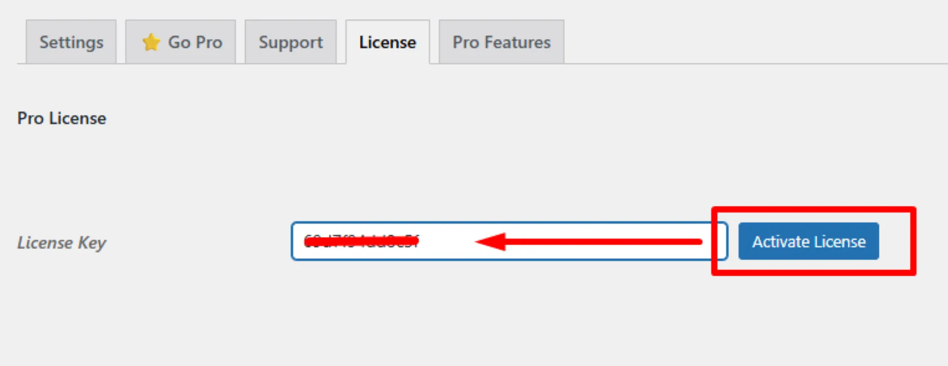 License key activation